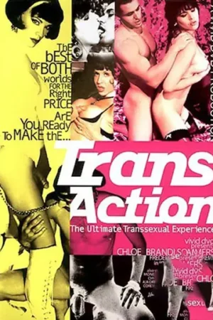 Trans-Action Trans Porn: The 1996 Vivid Man ultimate transsexual experience with chicks with dicks. Get your trans porn download!
