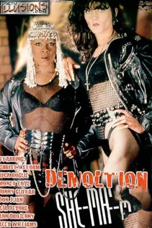 Demolition She-Males Trans Porn: Trans porn film from Metro Media. Get this intense trans porn download for powerhouse action & raw shemale scenes.